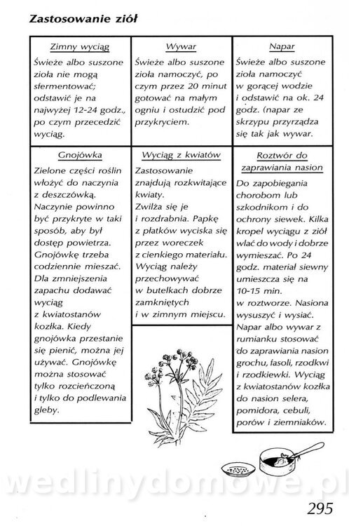 Podręcznik naturalnego ogrodnictwa_295.jpg