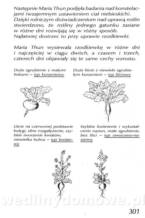 Podręcznik naturalnego ogrodnictwa_301.jpg