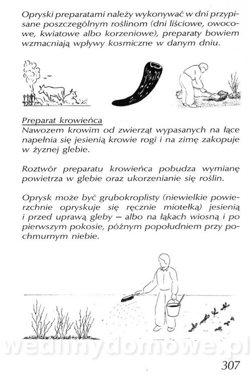 Podręcznik naturalnego ogrodnictwa_307.jpg