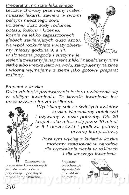 Podręcznik naturalnego ogrodnictwa_310.jpg