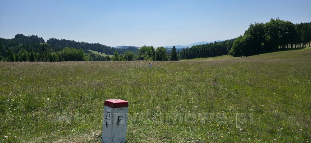 20250622_111043.jpg