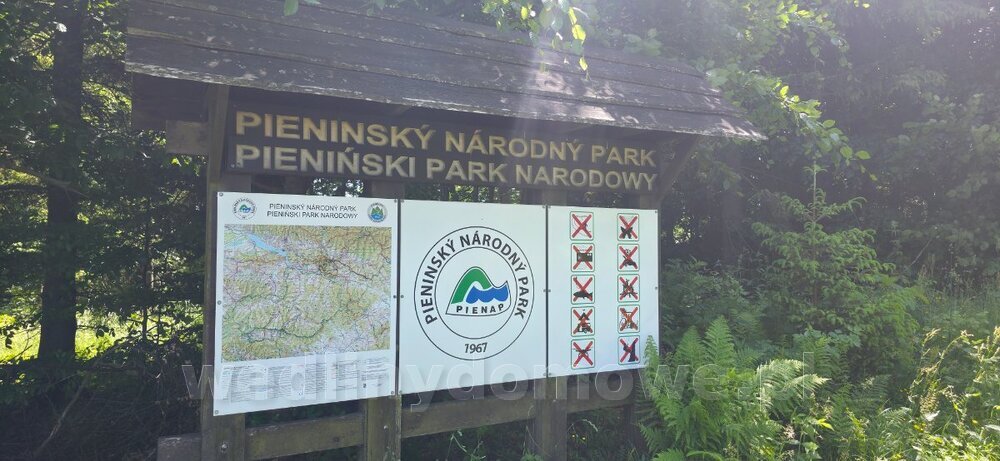 20250622_124624.jpg