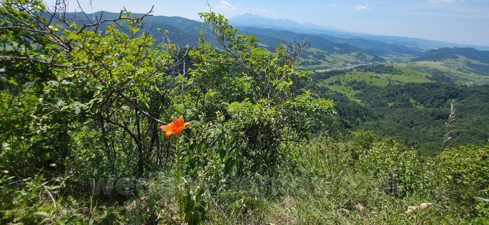 20250622_132844.jpg
