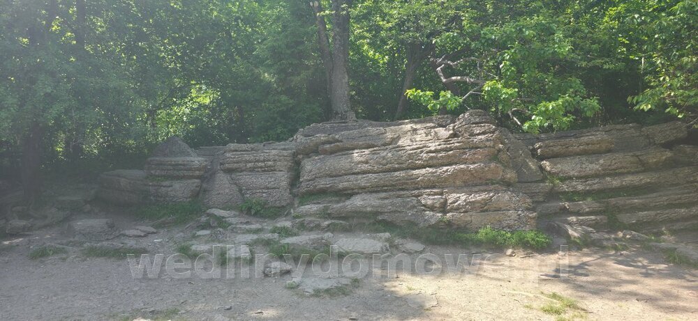 20250622_144410.jpg