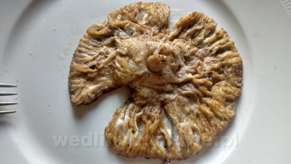 20250803_145010_HDR.thumb.jpg.19d4bc404504aa32f987d7199cf87958.jpg