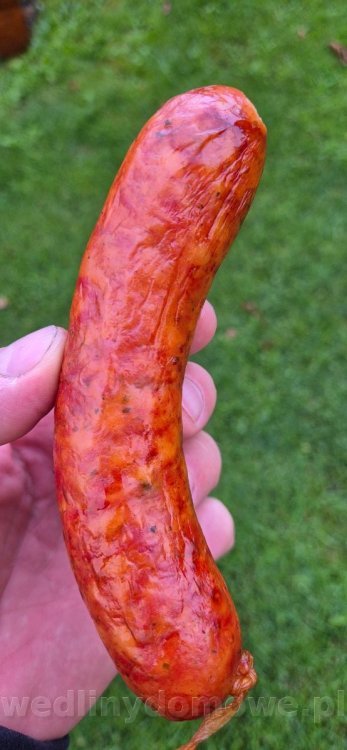 20250823_192413.jpg