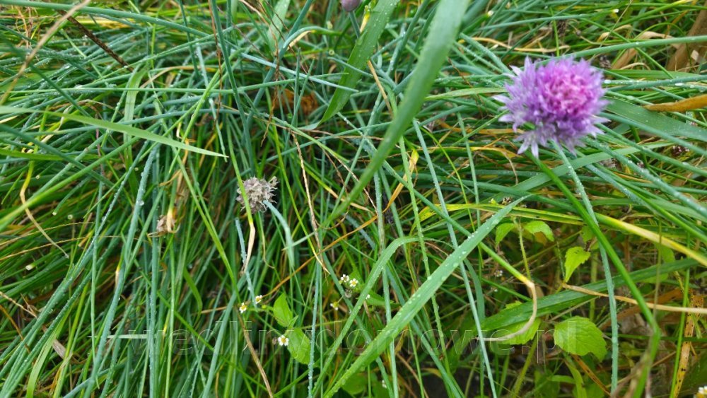 20250831_090007.jpg