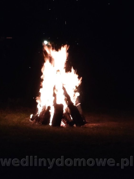 IMG_20250821_204746460.jpg