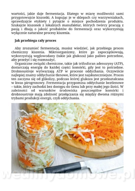 Kiszenie i fermentacja. Domowe sposoby (1)_049.jpg