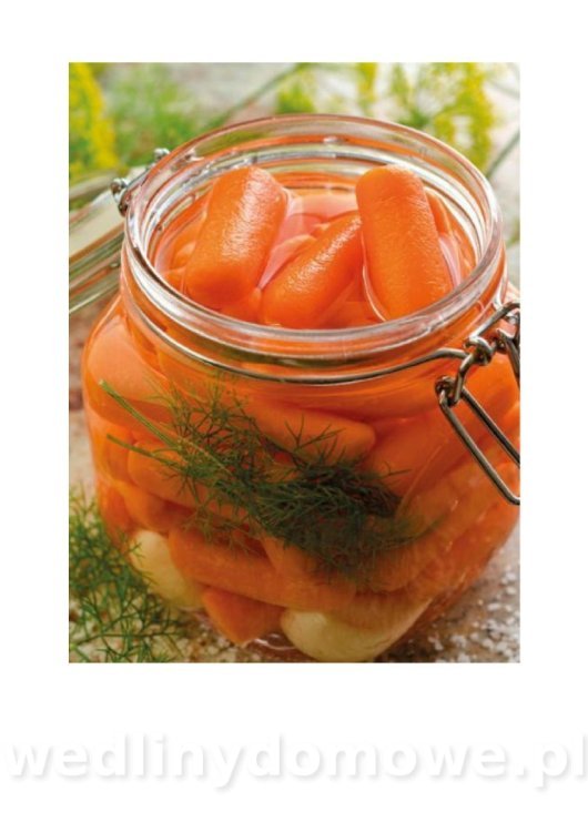 Kiszenie i fermentacja. Domowe sposoby (1)_118.jpg