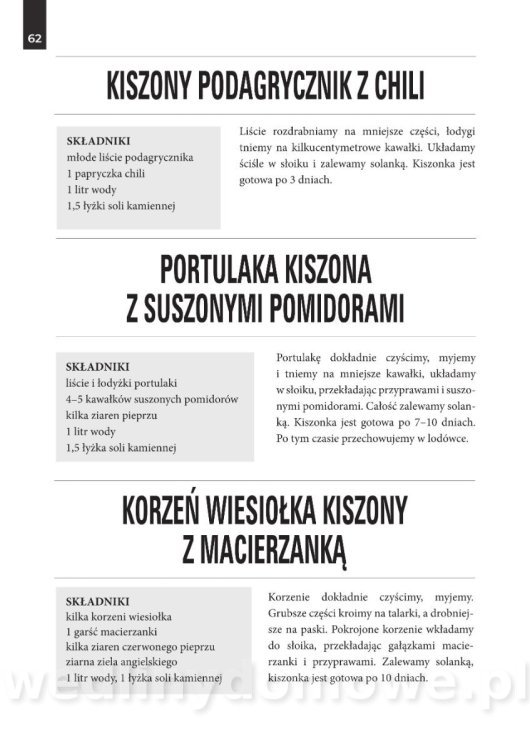 Kiszonki._Praktyczny_przewodnik_dla_kazdego (1)_63.jpg