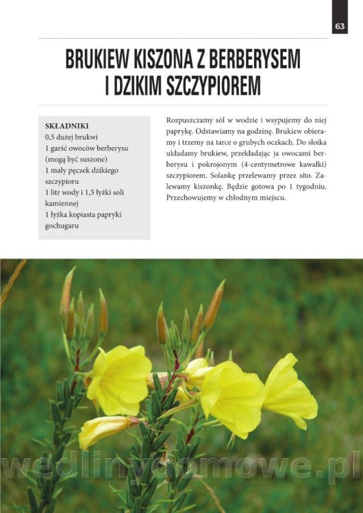 Kiszonki._Praktyczny_przewodnik_dla_kazdego (1)_64.jpg