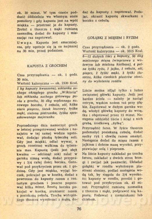 Klossowska Jadwiga - Kuchnia Dla Wszystkich_078.jpg