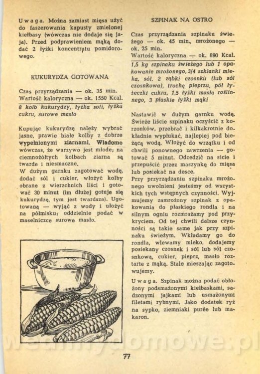 Klossowska Jadwiga - Kuchnia Dla Wszystkich_079.jpg