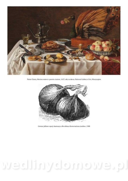 Kodeks smakosza (1827)_058.jpg