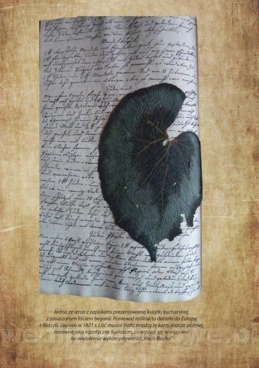 Osiemnastowieczny receptariusz kulinarny z Jeleniej Góry (1770)_017.jpg