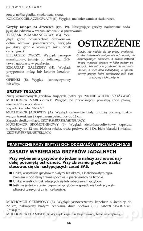 PODRĘCZNIK SURVIVALU_057.jpg