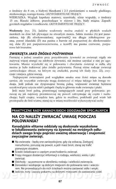 PODRĘCZNIK SURVIVALU_060.jpg