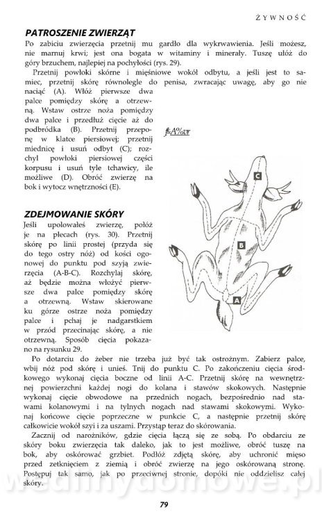 PODRĘCZNIK SURVIVALU_072.jpg