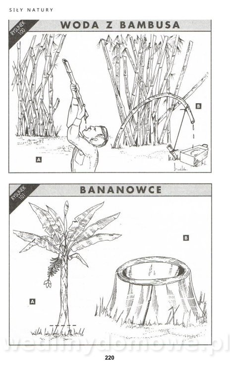 PODRĘCZNIK SURVIVALU_213.jpg