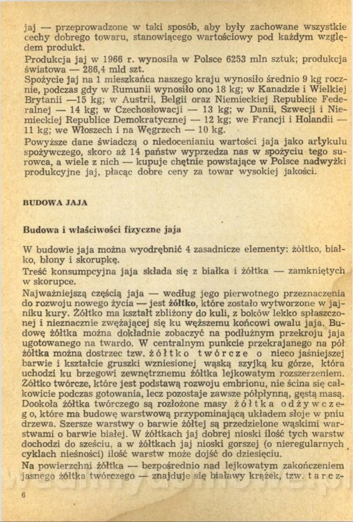 Potrawy z jaj - Joanna Mosingiewicz 1969_008.jpg