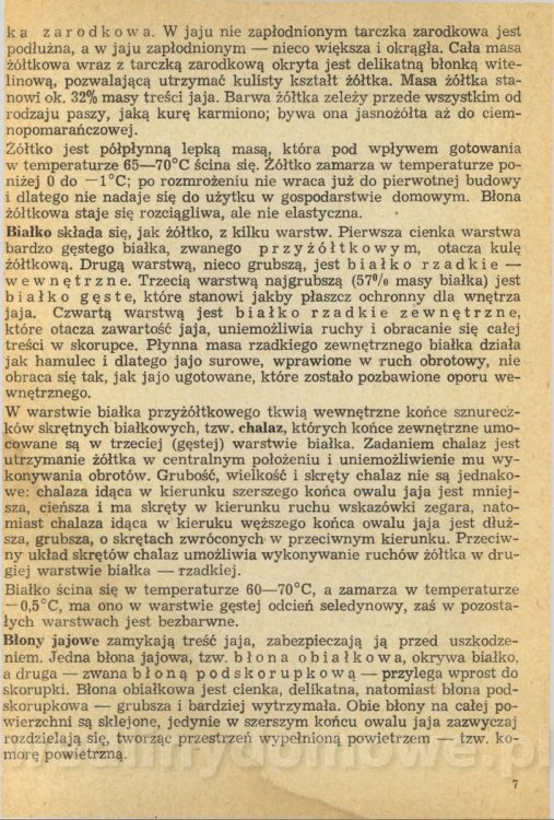 Potrawy z jaj - Joanna Mosingiewicz 1969_009.jpg