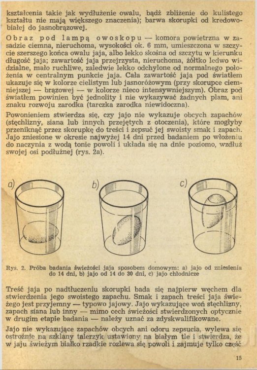 Potrawy z jaj - Joanna Mosingiewicz 1969_017.jpg