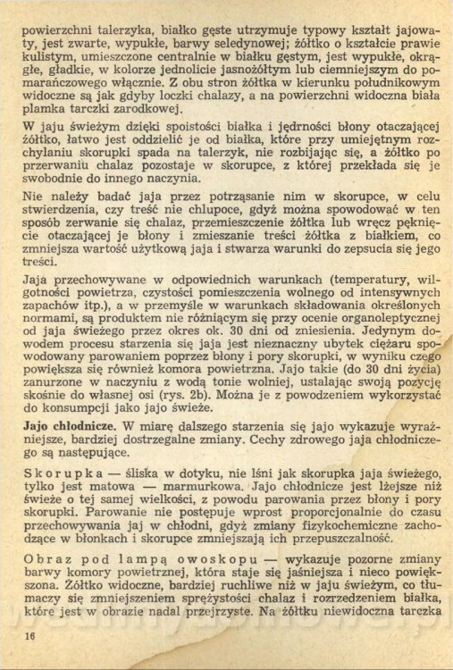 Potrawy z jaj - Joanna Mosingiewicz 1969_018.jpg