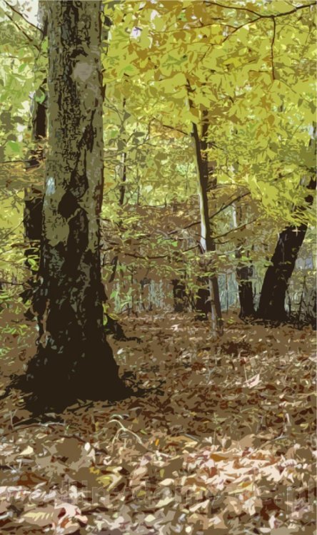 Survival Leśny_024.jpg