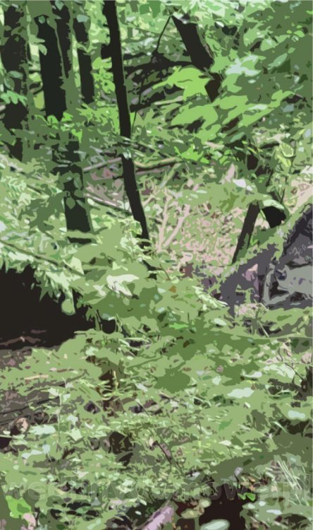 Survival Leśny_112.jpg