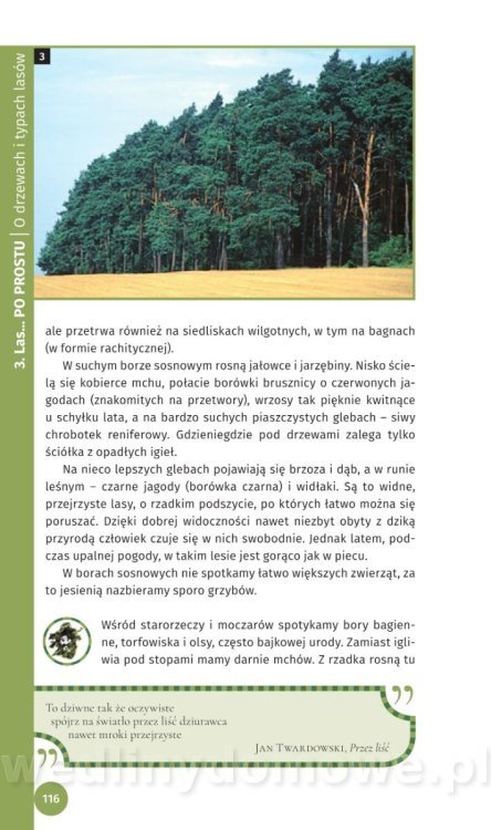 Survival Leśny_118.jpg