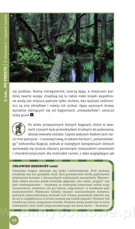 Survival Leśny_120.jpg
