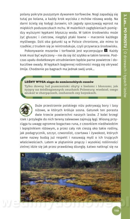 Survival Leśny_121.jpg