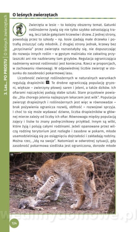 Survival Leśny_126.jpg