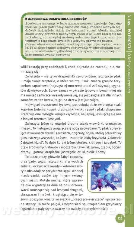 Survival Leśny_127.jpg