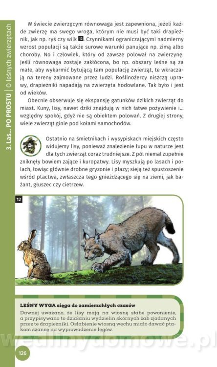 Survival Leśny_128.jpg