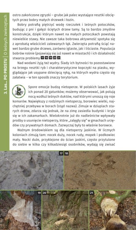 Survival Leśny_134.jpg