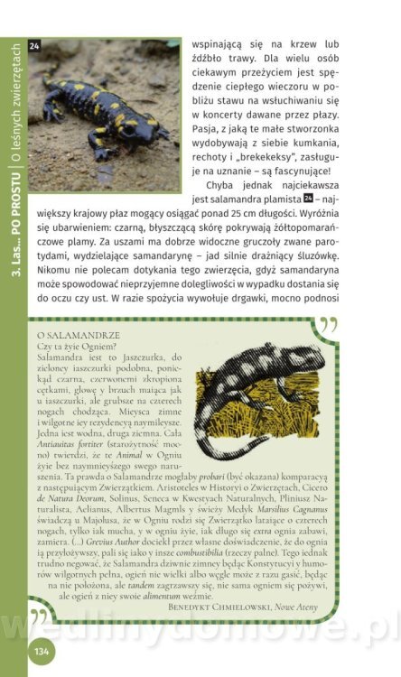 Survival Leśny_136.jpg