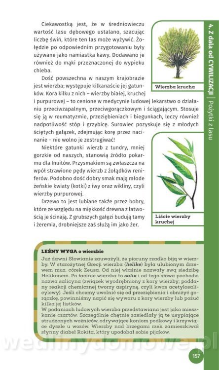 Survival Leśny_159.jpg
