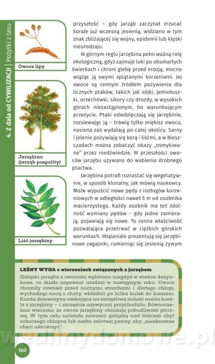 Survival Leśny_162.jpg
