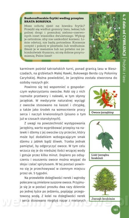 Survival Leśny_163.jpg