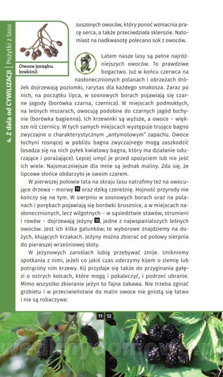 Survival Leśny_164.jpg