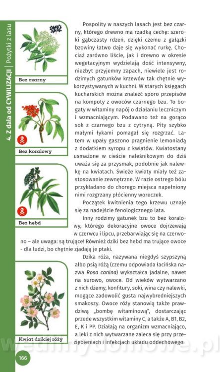 Survival Leśny_168.jpg