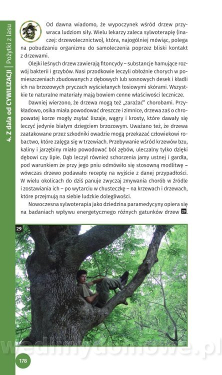 Survival Leśny_180.jpg