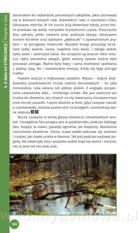 Survival Leśny_190.jpg