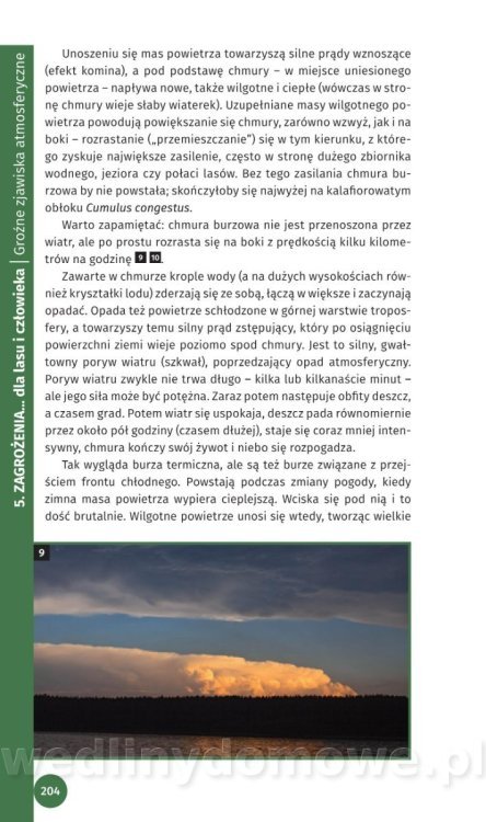 Survival Leśny_206.jpg