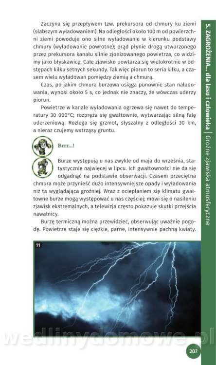 Survival Leśny_209.jpg