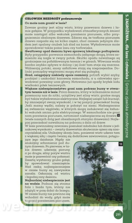 Survival Leśny_213.jpg