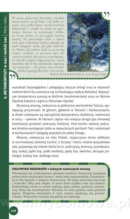 Survival Leśny_250.jpg