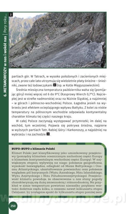 Survival Leśny_252.jpg
